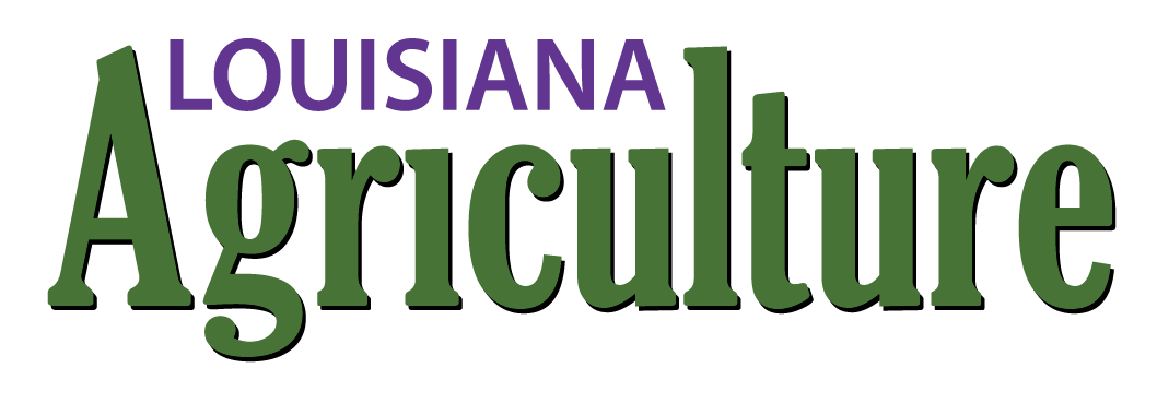 The Louisiana Agriculture nameplate stands against a white background.